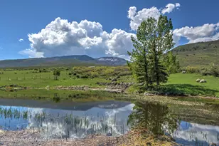 5708 Co Rd 301, Parachute, CO 81635 - Photo 41