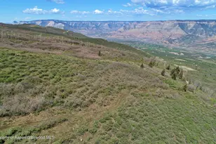 5708 Co Rd 301, Parachute, CO 81635 - Photo 49