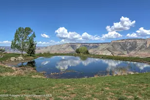 5708 Co Rd 301, Parachute, CO 81635 - Photo 39