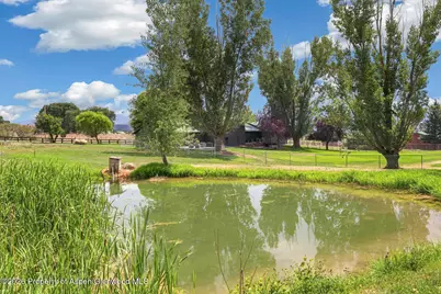 2160 County Road 250, Silt, CO 81652 - Photo 39