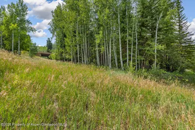 281 Pine Crest Drive, Snowmass Village, CO 81615 - Photo 107