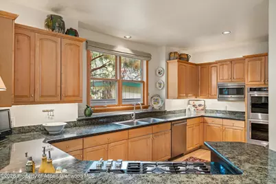 620 W Hallam Street, Aspen, CO 81611 - Photo 13