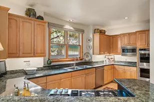 620 W Hallam St, Aspen, CO 81611 - Photo 13
