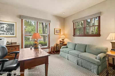620 W Hallam Street, Aspen, CO 81611 - Photo 35