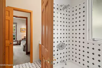 620 W Hallam Street, Aspen, CO 81611 - Photo 37