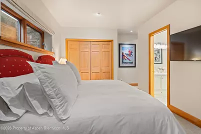 620 W Hallam Street, Aspen, CO 81611 - Photo 47
