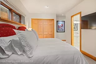 620 W Hallam St, Aspen, CO 81611 - Photo 47