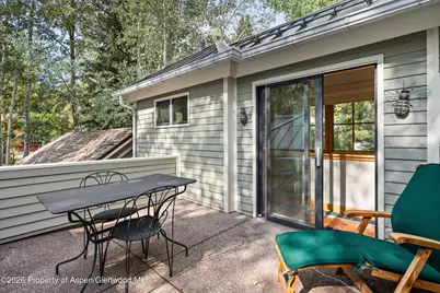 620 W Hallam Street, Aspen, CO 81611 - Photo 33