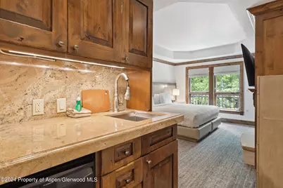 415 E Dean St, Unit 18, Week 32, Aspen, CO 81611 - Photo 15