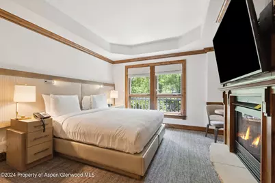 415 E Dean St, Unit 18, Week 32, Aspen, CO 81611 - Photo 9