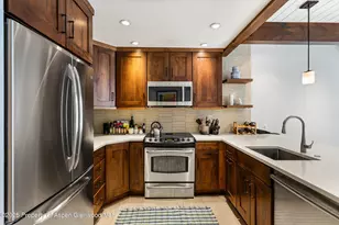 610 S West End St, Aspen, CO 81611 - Photo 11