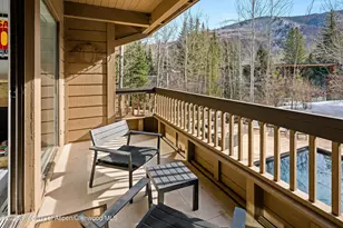 610 S West End St, Aspen, CO 81611 - Photo 17