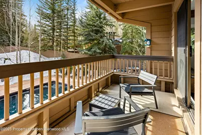 610 S West End Street #G204, Aspen, CO 81611 - Photo 3