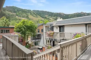 731 E Durant Ave, Aspen, CO 81611 - Photo 25