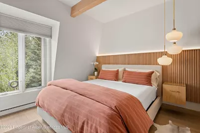 731 E Durant Avenue #17, Aspen, CO 81611 - Photo 15