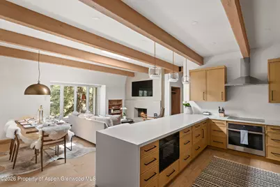 731 E Durant Avenue #17, Aspen, CO 81611 - Photo 1
