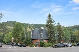 731 E Durant Ave, Aspen, CO 81611 - Photo 27