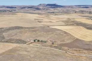 875 Johnson Rd, Craig, CO 81625 - Photo 9