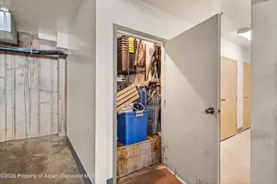 455 Gold Rivers Court #525, Basalt, CO 81621 - Photo 21