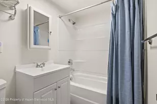 295 Upper Ranch Rd, Aspen, CO 81611 - Photo 13