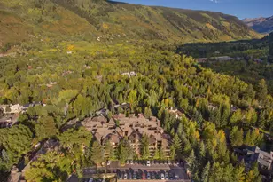 610 S West End St, Aspen, CO 81611 - Photo 15