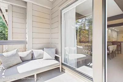 610 S West End Street #K203, Aspen, CO 81611 - Photo 11