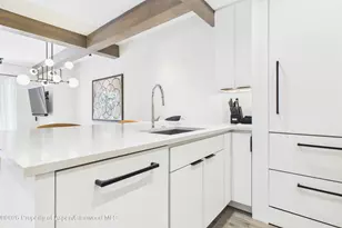 610 S West End St, Aspen, CO 81611 - Photo 1