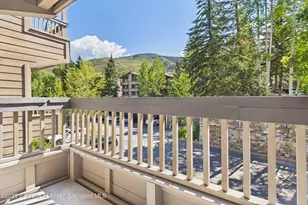 610 S West End St, Aspen, CO 81611 - Photo 13