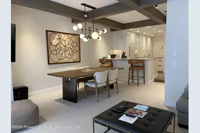 610 S West End Street #K203, Aspen, CO 81611 - Photo 3