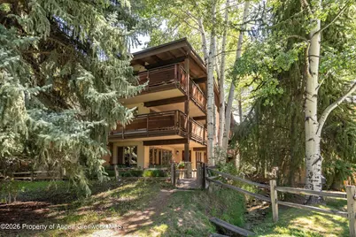 611 S West End Street #Unit 5, Aspen, CO 81611 - Photo 29