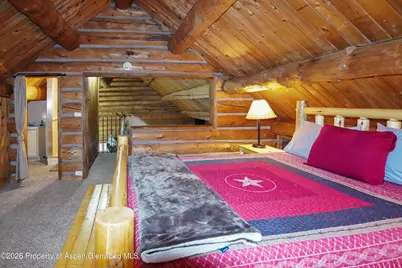 9224 County Road 331, Silt, CO 81652 - Photo 21