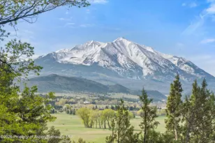 362 Co Rd 165, Carbondale, CO 81623 - Photo 49