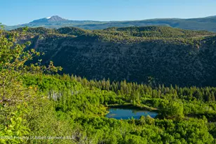 12590 Derby Mesa Loop, Burns, CO 80426 - Photo 19
