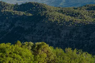 12590 Derby Mesa Loop, Burns, CO 80426 - Photo 15
