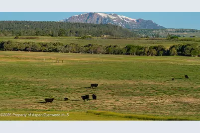 12590 Derby Mesa Loop, Burns, CO 80426 - Photo 13