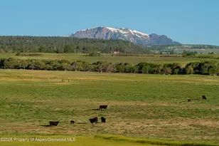 12590 Derby Mesa Loop, Burns, CO 80426 - Photo 13