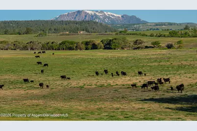 12590 Derby Mesa Loop, Burns, CO 80426 - Photo 17