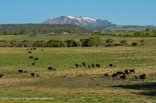 12590 Derby Mesa Loop, Burns, CO 80426 - Photo 17