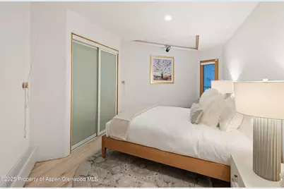 699 Eppley Drive, Aspen, CO 81611 - Photo 33