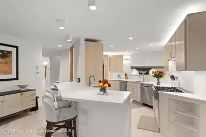 699 Eppley Drive, Aspen, CO 81611 - Photo 9
