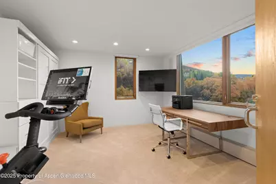 699 Eppley Drive, Aspen, CO 81611 - Photo 27