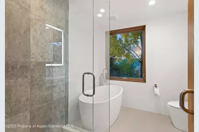 699 Eppley Drive, Aspen, CO 81611 - Photo 29