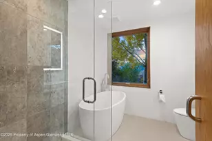 699 Eppley Dr, Aspen, CO 81611 - Photo 29