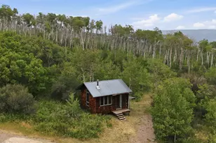 531 Buck Point Dr, Carbondale, CO 81623 - Photo 53