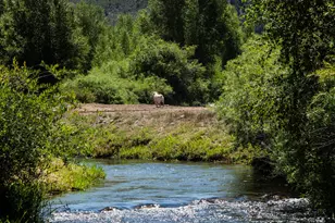 14913 Hwy 82, Carbondale, CO 81623 - Photo 55