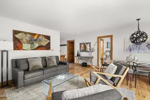 1020 E Durant Ave, Aspen, CO 81611 - Photo 5