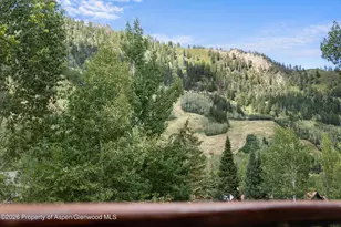 1020 E Durant Ave, Aspen, CO 81611 - Photo 13
