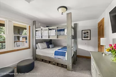 1020 E Durant Avenue #301, Aspen, CO 81611 - Photo 11