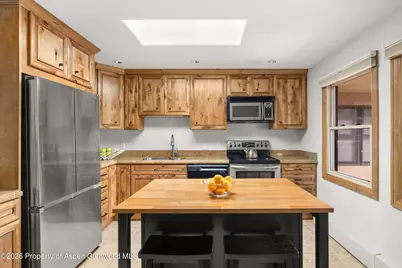 1020 E Durant Avenue #301, Aspen, CO 81611 - Photo 7