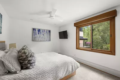 1020 E Durant Avenue #301, Aspen, CO 81611 - Photo 9